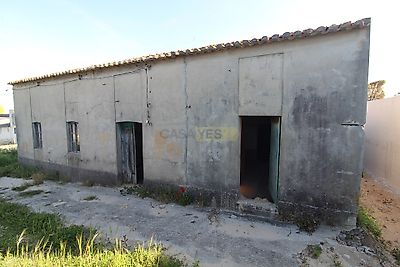 listing-picture-0