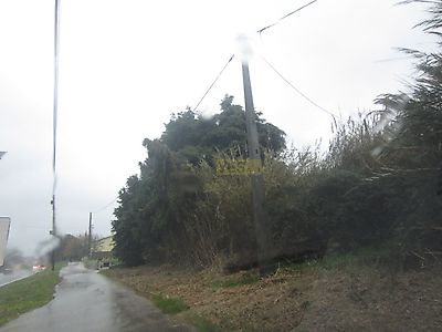 listing-picture-0