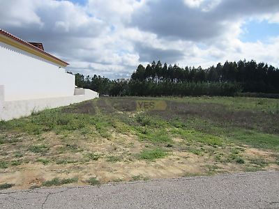 listing-picture-0