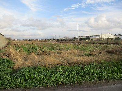 listing-picture-0