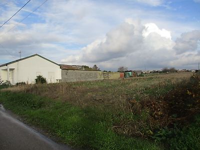 listing-picture-0