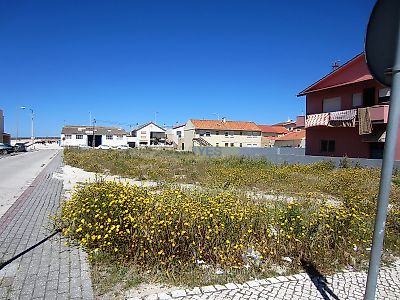 listing-picture-0