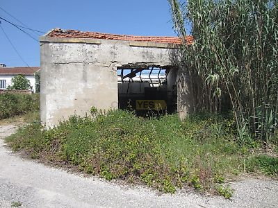 listing-picture-0