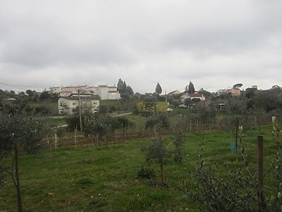 listing-picture-0