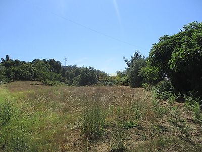 listing-picture-0