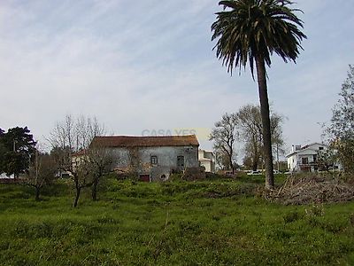 listing-picture-0