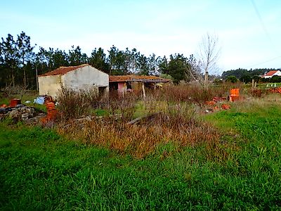 listing-picture-0