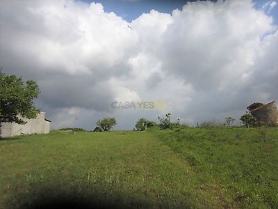 listing-picture-0