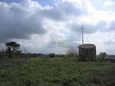 listing-picture-0