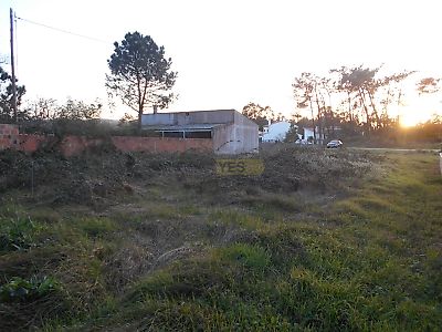 listing-picture-0