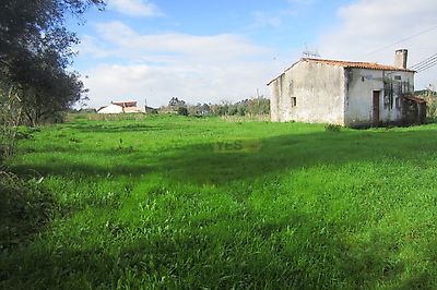listing-picture-0