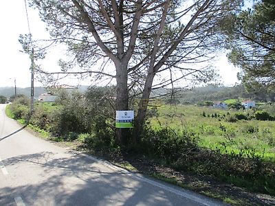 listing-picture-0