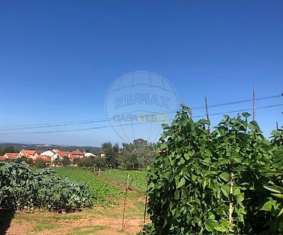 listing-picture-0