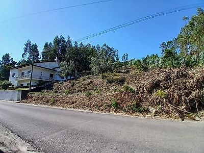 listing-picture-0