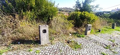 listing-picture-0