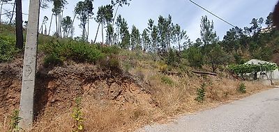 listing-picture-0