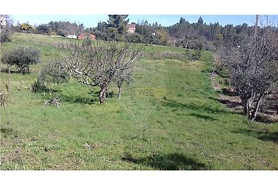 listing-picture-0