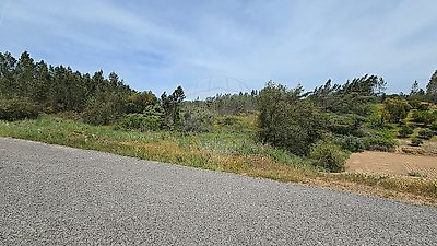 listing-picture-0