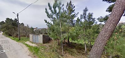 listing-picture-0