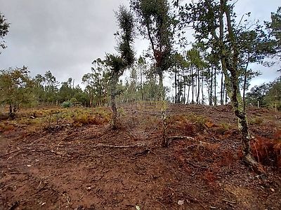 listing-picture-0