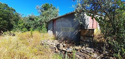 listing-picture-0