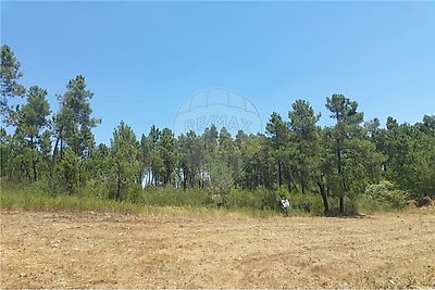 listing-picture-0