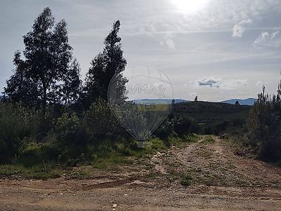 listing-picture-0