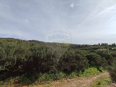 listing-picture-0