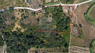 listing-picture-0