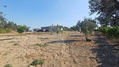listing-picture-0
