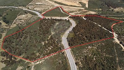 listing-picture-0