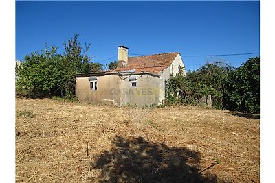 listing-picture-0
