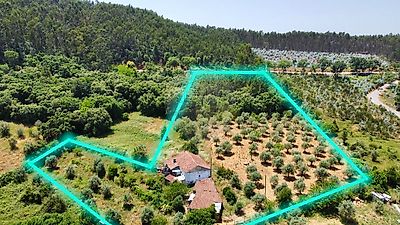 listing-picture-0