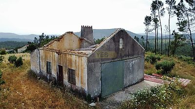listing-picture-0