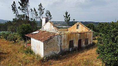 listing-picture-0
