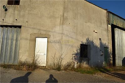 listing-picture-0