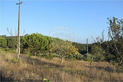 listing-picture-0