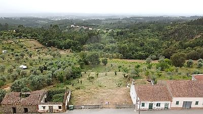 listing-picture-0