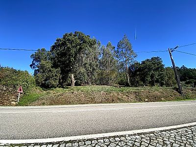 listing-picture-0