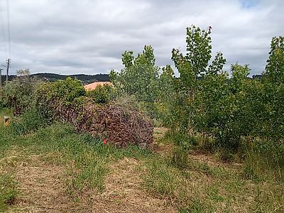 listing-picture-0