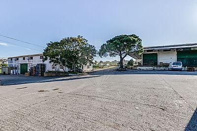listing-picture-0