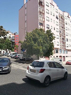 listing-picture-0