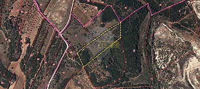 listing-picture-0