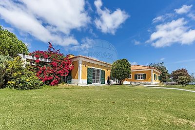 listing-picture-0