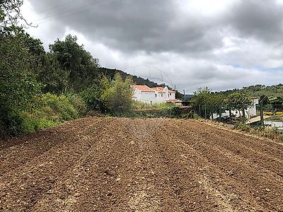 listing-picture-0