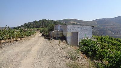 listing-picture-0