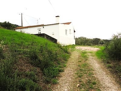 listing-picture-0
