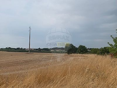 listing-picture-0
