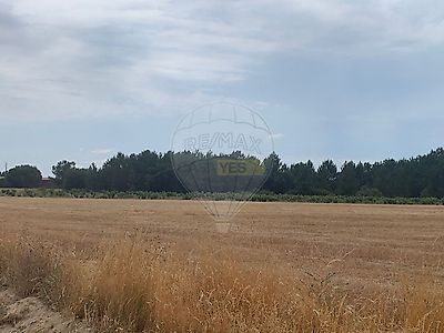 listing-picture-0