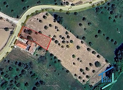 listing-picture-0